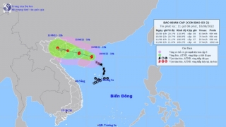 Hải Phòng chủ động ứng phó với cơn bão số 2 (Mulan)