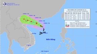 Cập nhật tin bão khẩn cấp - Cơn bão số 2