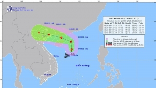 Hà Nội chủ động ứng phó với cơn bão số 2 Mulan