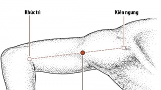 Châm cứu huyệt Tý Nhu chữa bệnh