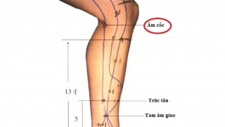 Tác dụng của bấm huyệt và châm cứu huyệt Âm Cốc