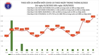 Tối 18/8: Ghi nhận 3.295 ca mắc COVID-19 mới, có 8.877 bệnh nhân khỏi bệnh