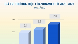 Vinamilk được đánh giá là thương hiệu sữa tiềm năng nhất toàn cầu theo báo cáo Brand Finance