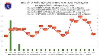 Tối 21/8: Ghi nhận 1.561 ca mắc COVID-19, có 9.872 bệnh nhân khỏi bệnh