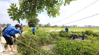 Bắc Ninh triển khai thi hành Luật Bảo vệ môi trường năm 2020