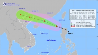 Tin bão trên Biển Đông: Cơn bão số 3 (Ma-on) mạnh lên cấp 11, giật cấp 14