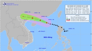 Cập nhật tình hình cơn bão số 3 (Ma-on): Các tỉnh, thành Hải Phòng, Quảng Ninh, Lạng Sơn chủ động ứng phó