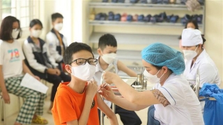 Tình hình tiêm chủng vaccine phòng COVID-19 tính đến ngày 26/8