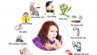 Nguyên nhân có thể gây khởi phát cơn hen về mùa hè