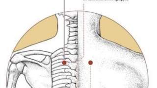 Tác dụng cho sức khỏe khi châm cứu, bấm huyệt Phong Môn