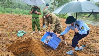 Sơn La xử lý đối tượng vận chuyển sản phẩm động vật không rõ nguồn gốc xuất xứ