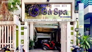 TP. HCM: Gà Spa liên tục bị xử phạt, đình chỉ hoạt động nhiều cơ sở nhưng vẫn tái phạm