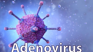 Hỏi đáp về Adenovirus