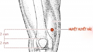 Cách bấm huyệt Huyết Hải trị đau khớp gối