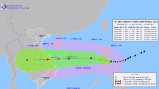 Bộ Y tế yêu cầu đảm bảo công tác ứng phó bão Noru