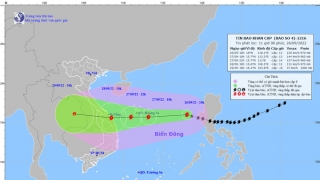 Cập nhật tình hình cơn bão số 4: Bão Noru tiếp tục di chuyển rất nhanh
