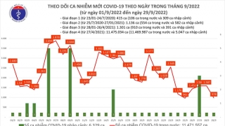 Tối 29/9: Ghi nhận 978 ca mắc COVID-19 mới, có 1.100 bệnh nhân khỏi bệnh