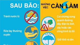 Infographic: Tổ chức Y tế thế giới tại Việt Nam khuyến cáo những việc nên làm để bảo vệ sức khỏe sau bão