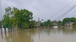 Hà Tĩnh: Hàng nghìn học sinh phải nghỉ học do mưa lũ