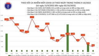 Tối 2/10: Số bệnh nhân được công bố khỏi bệnh trong ngày là 319 ca