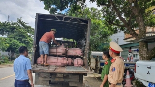 Lai Châu phát hiện đối tượng vận chuyển động vật không có Giấy chứng nhận kiểm dịch