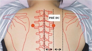 Tác dụng của huyệt Phế Du trong việc điều trị bệnh lý