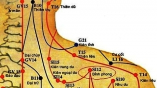 Tác dụng của châm cứu, bấm huyệt Bỉnh Phong đối với sức khỏe