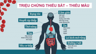 Cách phòng tránh bệnh thiếu máu, thiếu sắt