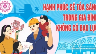 Tổ chức Hội thảo “Thực hiện Luật Phòng, chống bạo lực gia đình - Thực trạng và giải pháp”