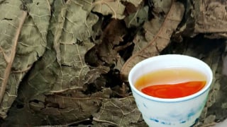 Lợi ích bất ngờ của trà lá đu đủ