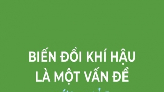 Nguyên nhân và ảnh hưởng của biến đổi khí hậu