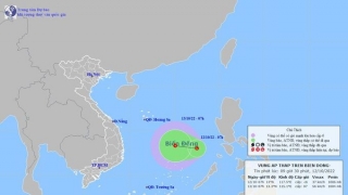 Tin về vùng áp thấp trên biển Đông