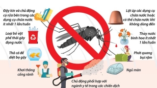 Hà Nội tăng cường các biện pháp phòng, chống sốt xuất huyết Dengue trên địa bàn thành phố