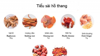 Tiểu sài hồ thang - bài thuốc có nhiều tác dụng chữa bệnh