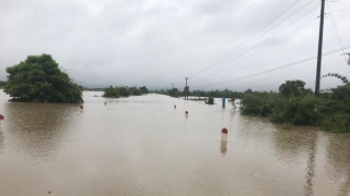 Đắk Lắk chủ động ứng phó với mưa lũ, sạt lở đất