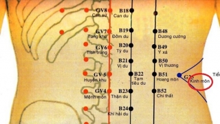 Tác dụng của huyệt Kinh Môn với sức khỏe con người