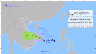 Tin bão khẩn cấp: Cơn bão số 5 - SONCA