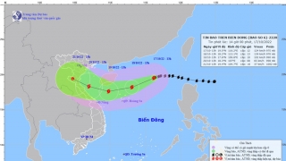 Cập nhật tình hình cơn bão số 6 - Nesat đến 14h chiều ngày 17/10