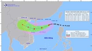 Cập nhật tình hình cơn bão số 6 - Nesat đến 17h chiều ngày 17/10