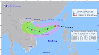 Cập nhật tình hình cơn bão số 6 - Nesat tính đến 8h ngày 17/10