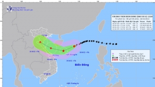 Cập nhật tình hình cơn bão số 6 - Nesat đến 8h sáng ngày 18/10