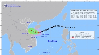 Cập nhật tình hình cơn bão số 6 - Nesat đến 14h chiều ngày 19/10