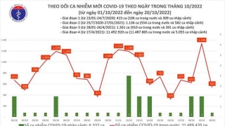 Tối 20/10: Ghi nhận 541 ca mắc COVID-19 mới, có 299 bệnh nhân khỏi bệnh