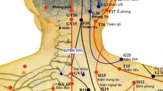 Châm cứu, bấm huyệt Định Suyễn điều trị các bệnh lý liên quan tới ho, suyễn hay bệnh về khí quản