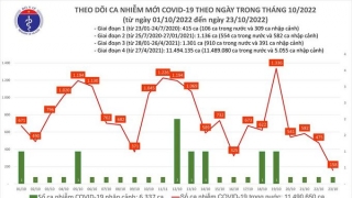 Tối 23/10: Số bệnh nhân được công bố khỏi bệnh trong ngày là 108 ca