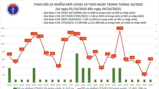 Tối 24/10: Ghi nhận 546 ca mắc COVID-19 mới, có 124 bệnh nhân khỏi bệnh