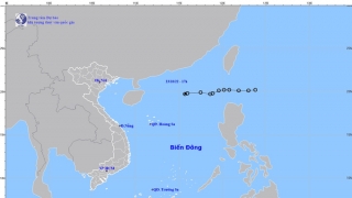 Áp thấp nhiệt đới suy yếu thành một vùng áp thấp trên Biển Đông
