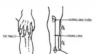 Huyệt Phong Long có tác dụng trong điều trị ho đờm, chóng mặt, hen suyễn, tê liệt các chi