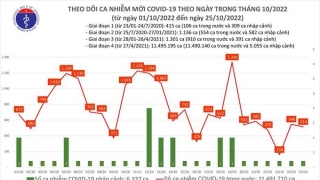 Tối 25/10: Ghi nhận 514 ca mắc COVID-19 mới, có 446 bệnh nhân khỏi bệnh