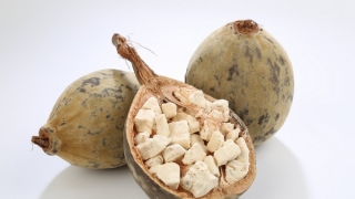 Công dụng bất ngờ của quả baobab